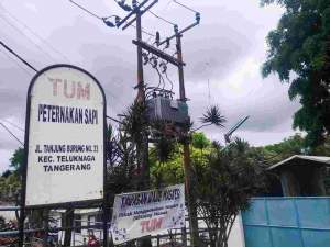 Komisi IV DPRD Kabupaten Tangerang Sikapi Aroma Bau Berasal Dari Peternakan Sapi TUM