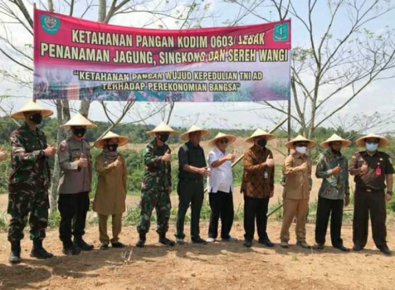 Foto : TNI AD di Banten tanam Jagung Hybrida dan Sereh wangi di Desa Gununganten