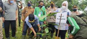 Foto : Dirbinmas Polda Banten Hadiri Penanaman Pohon Butun di Tanjung Lesung