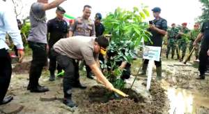 Kapolda Banten dan Forkopimda, Lakukan Penanaman Dua Puluh Ribuan Pohon secara serentak