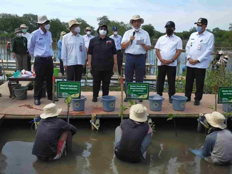 Bupati Tangerang Mendampingi 4 Menteri RI Tanam Mangrove di Teluknaga