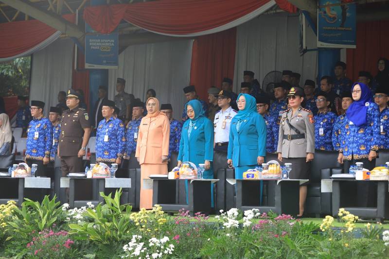 IMG 20260601 WA0101