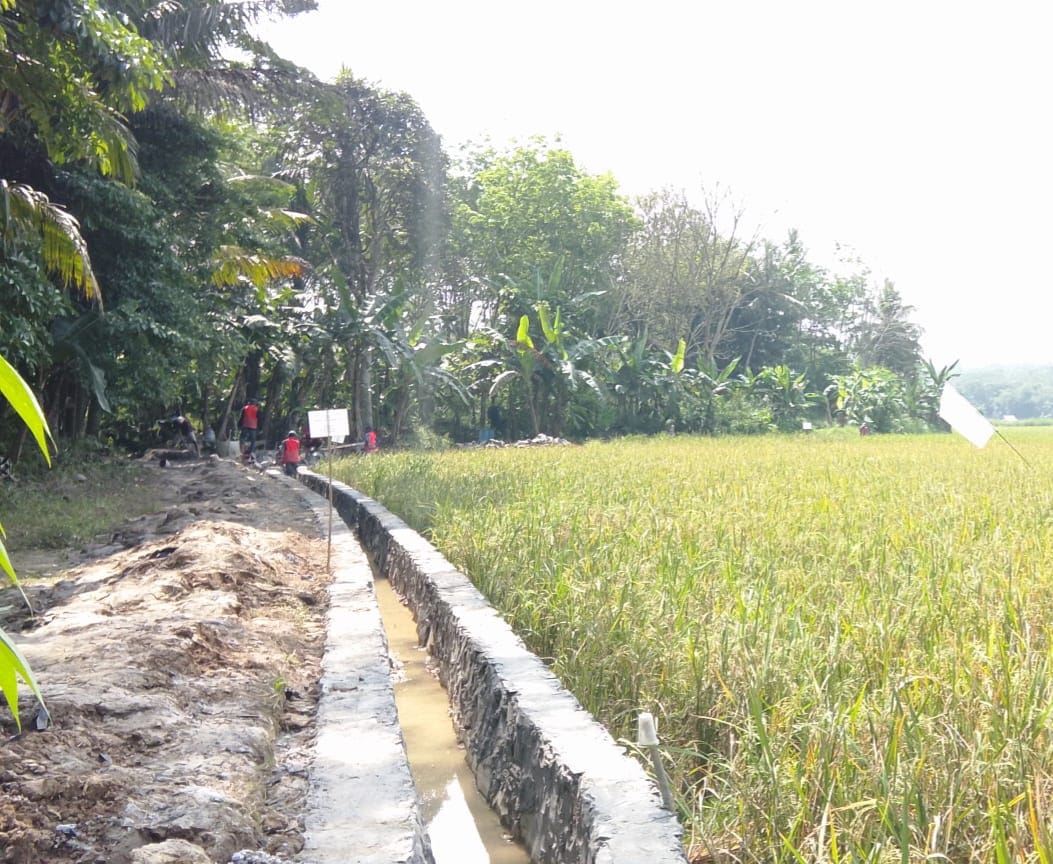 IMG 20260702 WA0003