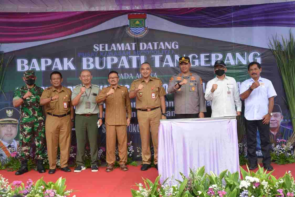 IMG 20221010 WA0075 compress52