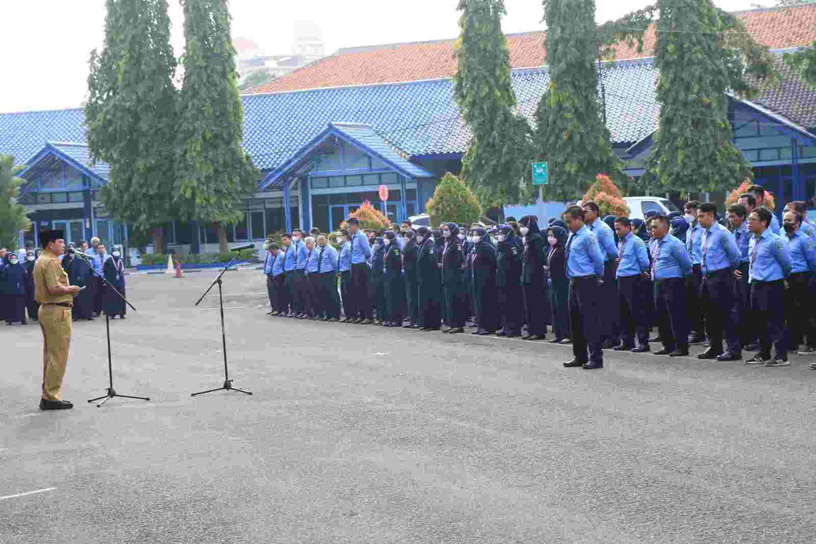 IMG 20230206 WA0129 L5IRhBuO1O