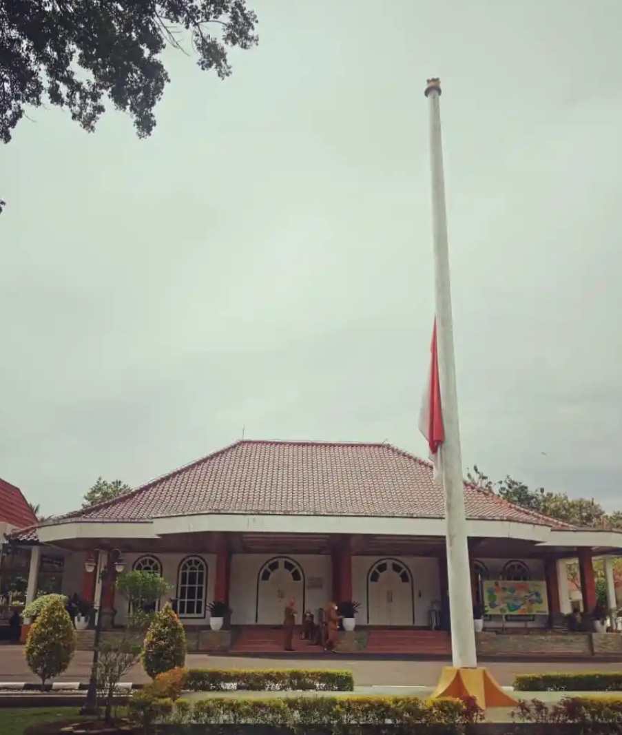 IMG 20210308 WA0007 compress37