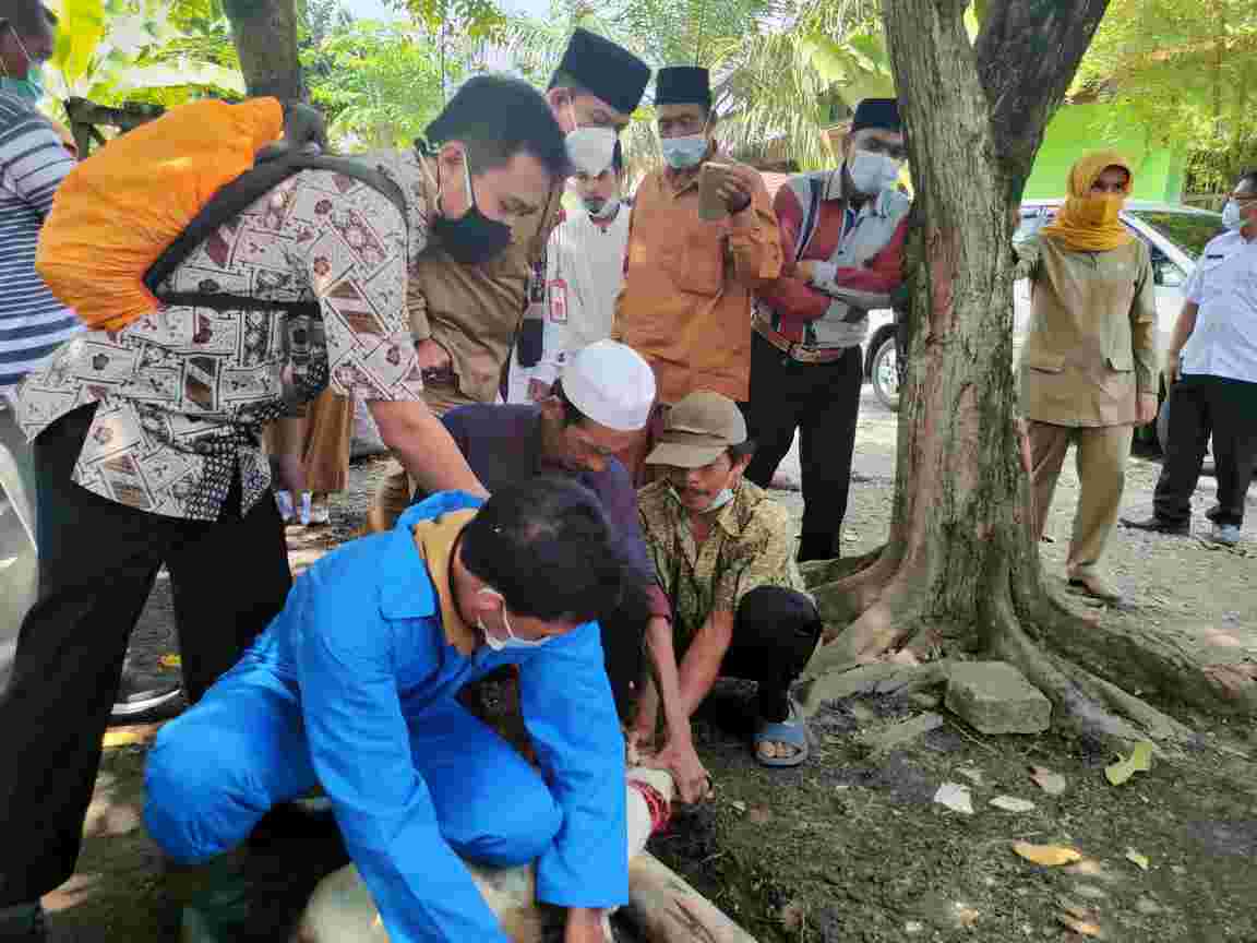 IMG 20210623 WA0003 compress89