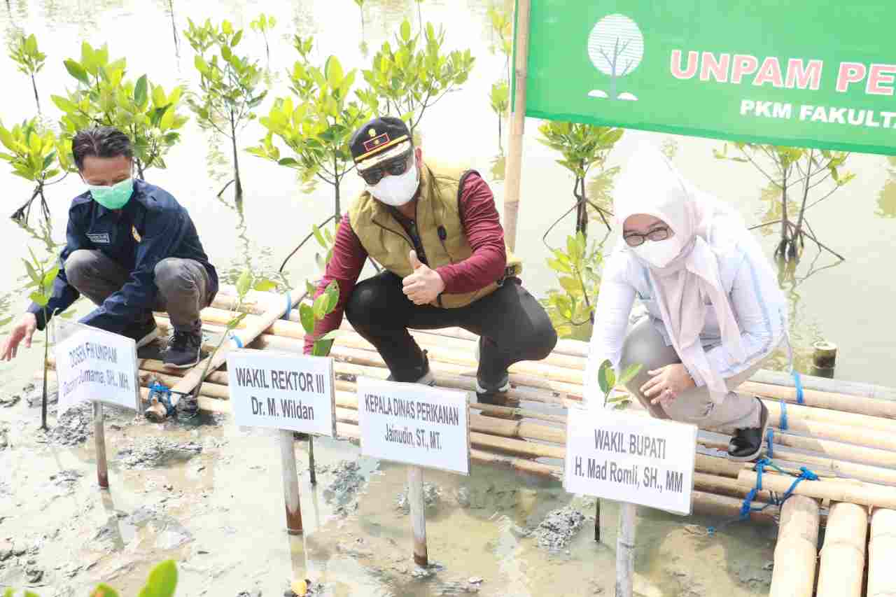 WhatsApp Image 2021 06 06 at 17.51.51 compress80