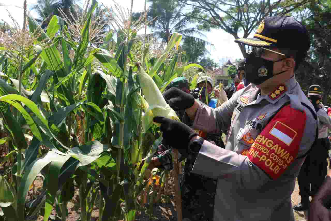 IMG 20200920 WA0005 compress74