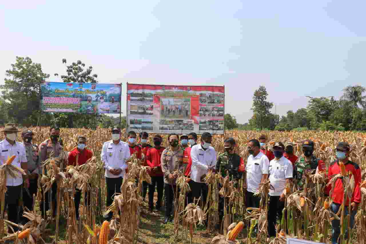 IMG 20201111 WA0014 compress5