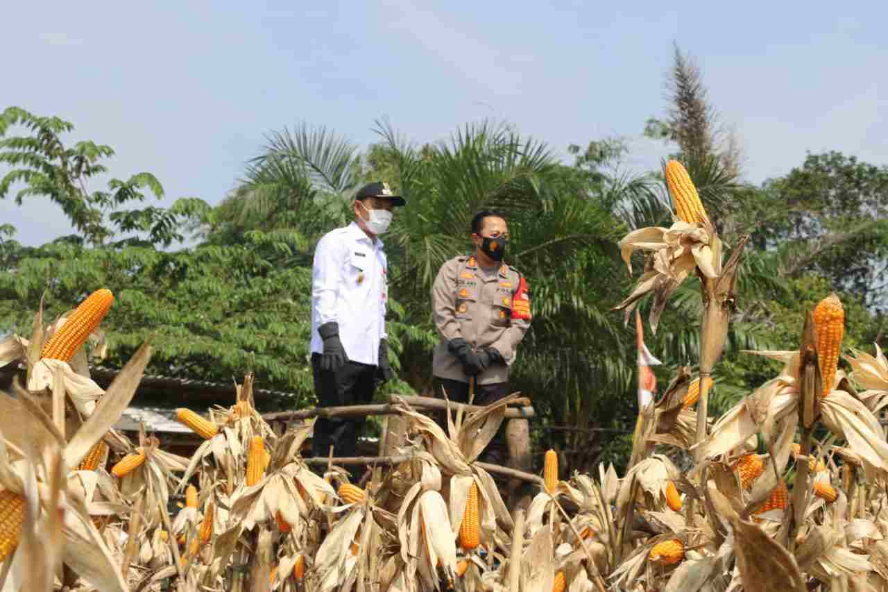 IMG 20201111 WA0015 compress34