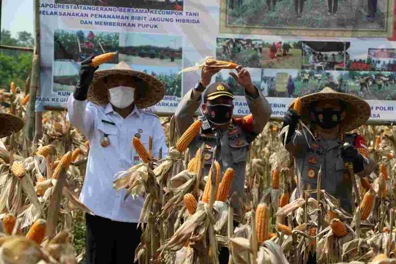 IMG 20201111 WA0018 compress20