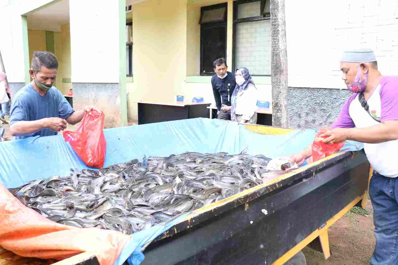 IMG 20201219 WA0011 compress38