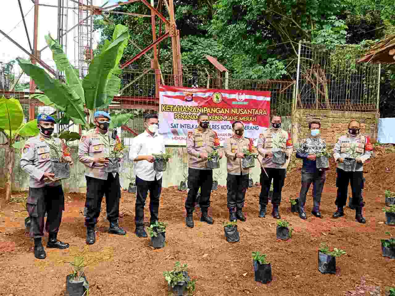 IMG 20201229 WA0016 compress15