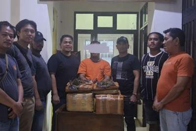 Bawa 26 Kg Ganja, Pria Asal Padang Ditangkap di Kotapinang