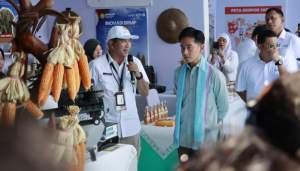 Bupati Tangerang Bersama Wapres RI, Kapolri, dan Menko Pangan Tanam Jagung di Bantar Panjang Tigaraksa