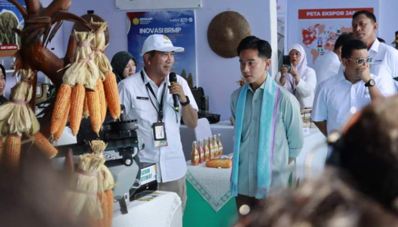 Bupati Tangerang Bersama Wapres RI, Kapolri, dan Menko Pangan Tanam Jagung di Bantar Panjang Tigaraksa