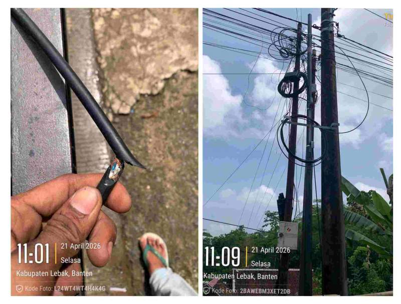 Diduga Dipotong Oknum, Kabel Internet di Lingkungan PTPN Banjarsari Picu Polemik