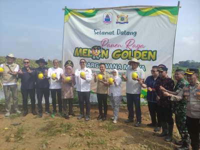 Panen 30 Ton Golden Melon, Bupati Hasbi Tegaskan Lebak Harus Jadi Penopang Ketahanan Pangan Nasional