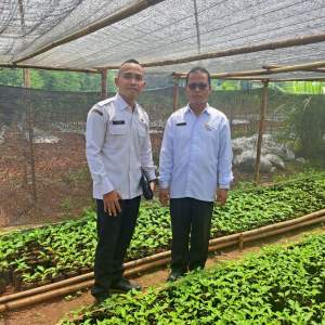 Desa Pajagan Realisasikan Program  Ketapang Sesuai Dengan Aturan Permendes