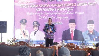 Optimalkan Lahan Produktif, DPKP Tanam Jagung Pulut di Desa Kaliasin