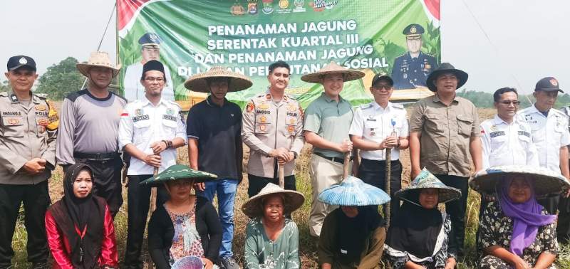 Penanaman Jagung Hybrida Serentak 1 Desa 2 Hektare