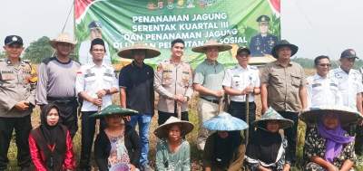Penanaman Jagung Hybrida Serentak 1 Desa 2 Hektare