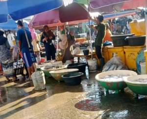 Harga Ikan di Lebak Meroket Usai Idul Fitri, Stok Terbatas Akibat Nelayan Belum Melaut