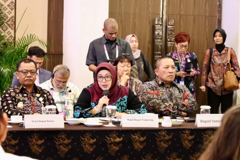 Wabup Intan Hadiri High Level Meeting on the Leprosy Progamme Kemenkes RI