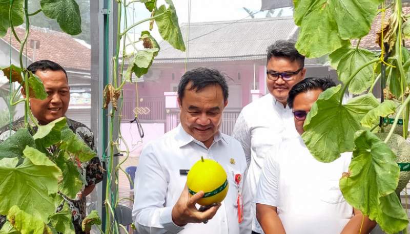 Panen Melon Hidroponik, Sekda Apresiasi Peran Anak Muda Dukung Ketahanan Pangan