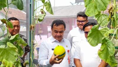 Panen Melon Hidroponik, Sekda Apresiasi Peran Anak Muda Dukung Ketahanan Pangan