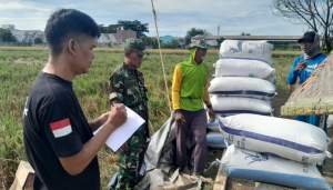 Sinergi Bulog dan Petani Tangerang Perkuat Ketahanan Pangan Nasional