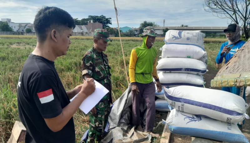 Sinergi Bulog dan Petani Tangerang Perkuat Ketahanan Pangan Nasional