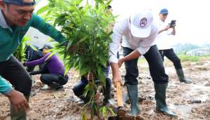 Tanam Bambu di RTH Cisoka, Bupati Tangerang: Wujud Komitmen Pelestarian Lingkungan dan Perkuat Identitas Daerah