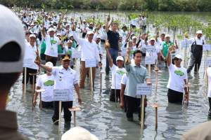 Bupati Tangerang Dampingi Wapres RI Gibran Rakabuming Raka Tanam Mangrove