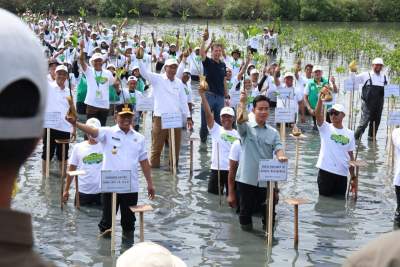 Bupati Tangerang Dampingi Wapres RI Gibran Rakabuming Raka Tanam Mangrove