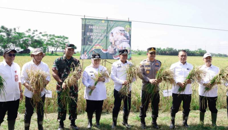 Capai Target Optimal, Bupati dan Wakil Bupati Tangerang Ikut Panen Padi Serentak di 14 Provinsi