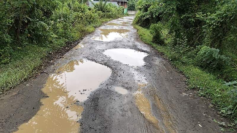 Jalan Desa Hancur, Dana Desa Terpangkas Kopdes: Kades Cilangkap Blak-blakan, Warga Terancam Celaka