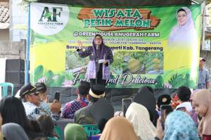 Panen Melon di Solear, Wabup Intan Sambut Baik Inovasi Green House Anugerah Farm