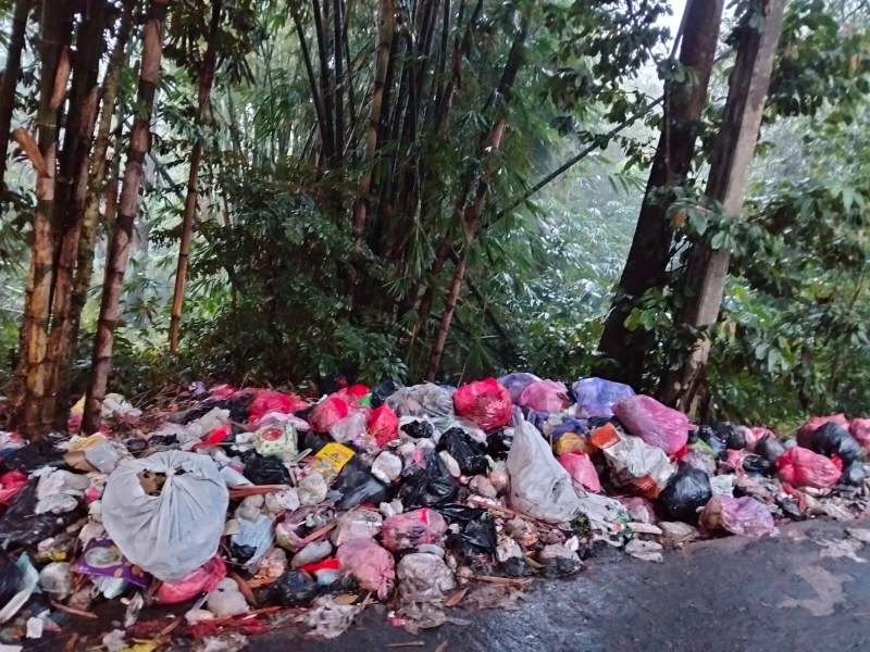 Pengendara dan Warga Kampung Jengkol Resah, Tumpukan Sampah Liar di Pinggir Jalan Keluarkan Bau Busuk