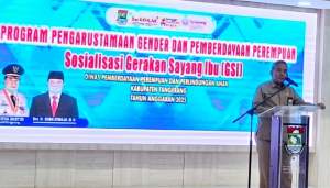 Sosialisasi &quot;Gerakan Sayang Ibu&quot; 2025: Langkah Kabupaten Tangerang Menuju Generasi Emas