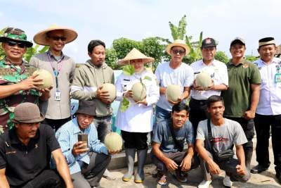 Panen Melon Sukses di Tangerang, Wabup Intan Apresiasi Petani Mandiri