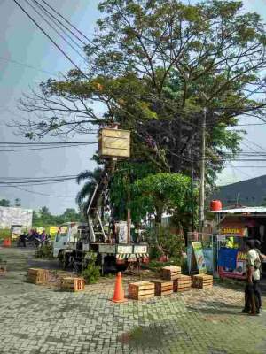 Respon Pengaduan Masyarakat, DLHK Kabupaten Tangerang Tebang Pohon Membahayakan