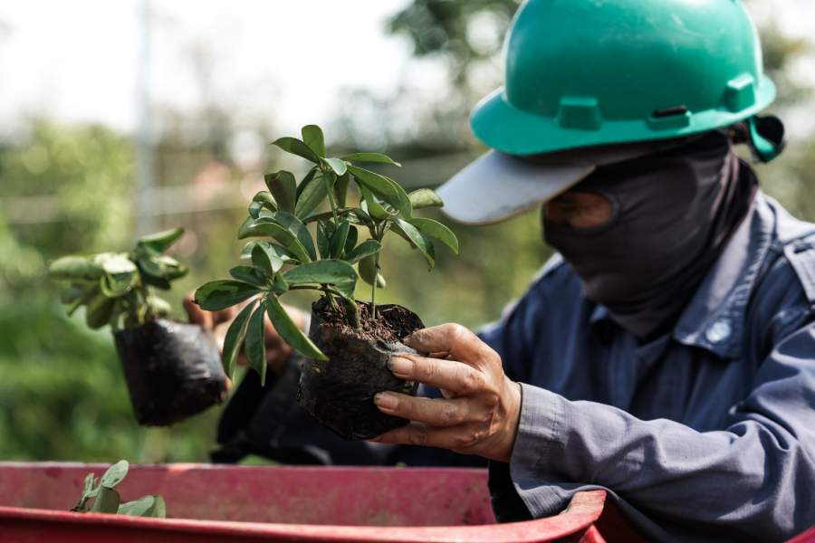 Langkah Nyata Investasi Hijau EIGER Adventure Land: Transformasi Konflik Agraria menjadi Ekowisata Bermakna