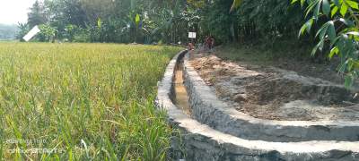 P3-TGAI Hadir di Lebak, Irigasi Desa Cidahu Tingkatkan Produktivitas Petani dan Dukung Ketahanan Pangan Nasional