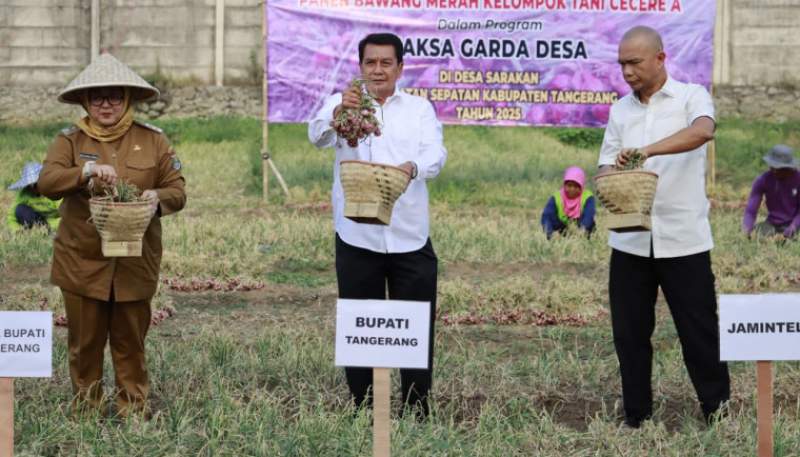 Panen Raya Bawang Merah, Bukti Pertanian Topang Kesejahteraan Rakyat