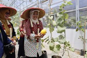 Bupati Tangerang Tinjau Monitoring Desa Ramah Perempuan dan Peduli Anak di Teluknaga