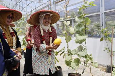 Bupati Tangerang Tinjau Monitoring Desa Ramah Perempuan dan Peduli Anak di Teluknaga