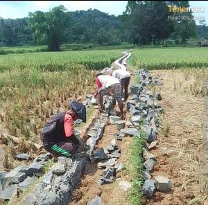 Diduga Menyimpang, Proyek P3-TGAI di Desa Kumpay Lebak Disorot