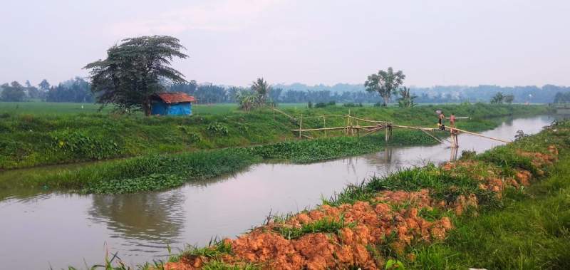 Kekhawatiran Pasca Rehabilitasi Tumpukan Rumput Dan Tanah Di Jaringan Irigasi C3